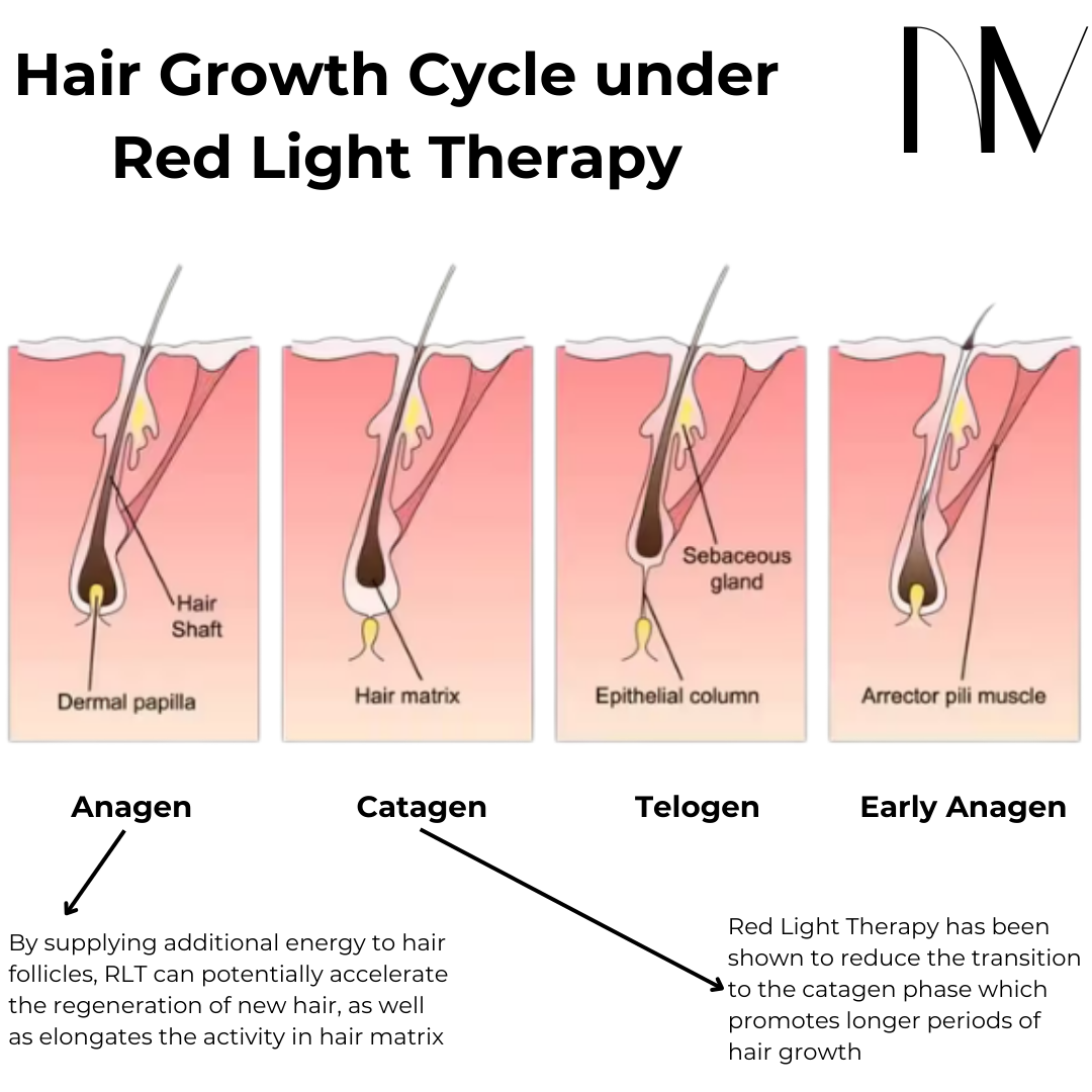 Hair Growth Brush