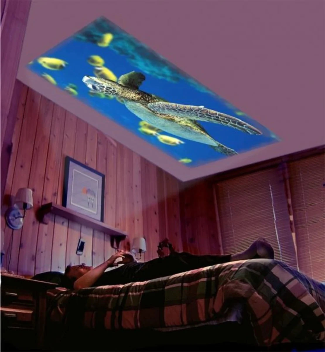 Personal MiniProjector