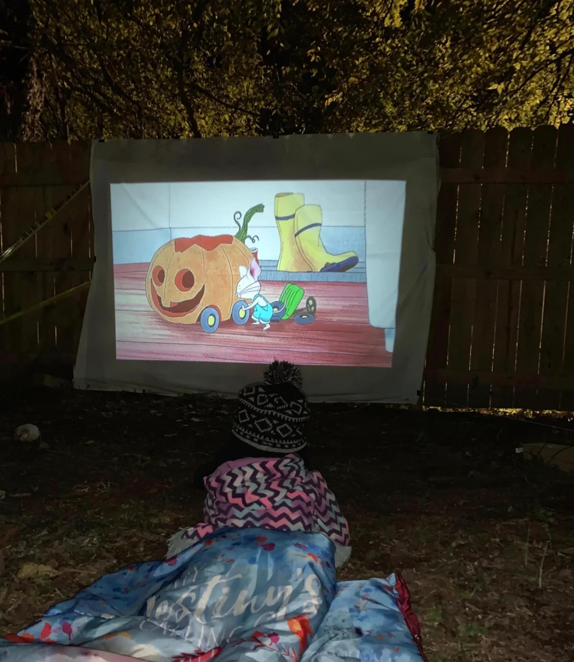 Personal MiniProjector