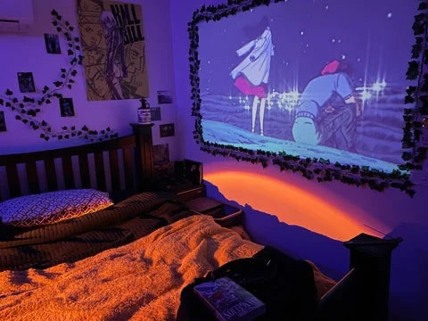 Personal MiniProjector