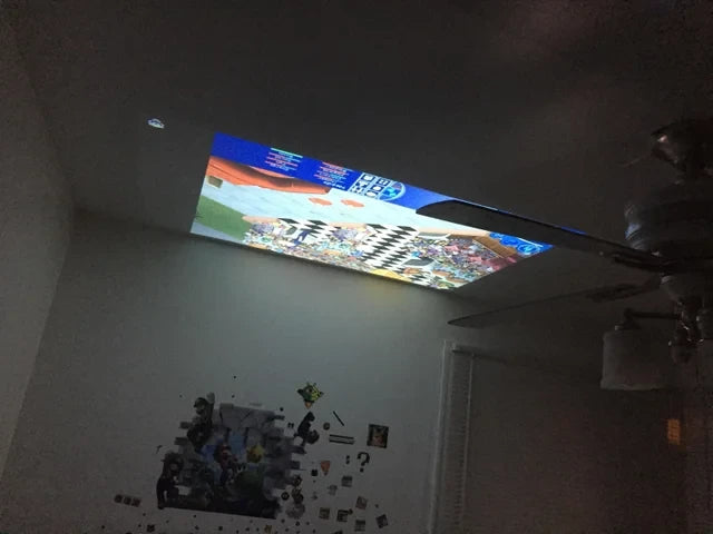 Personal MiniProjector