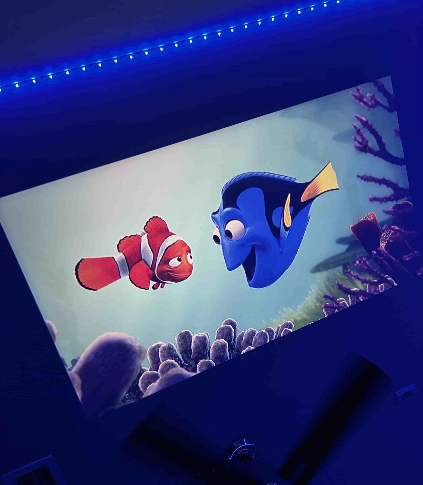 Personal MiniProjector