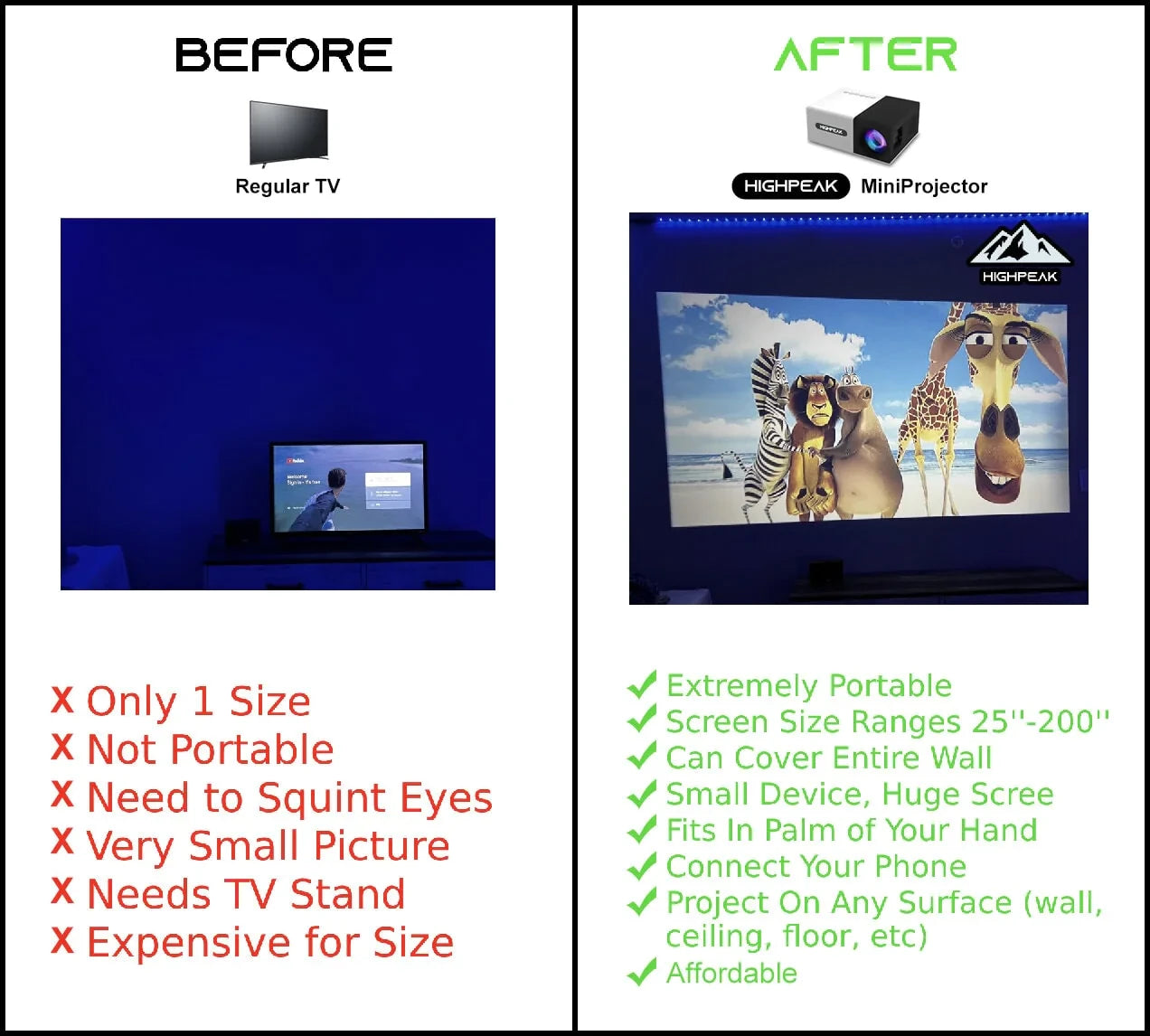 Personal MiniProjector