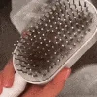 Self-Cleaning Hair Brush